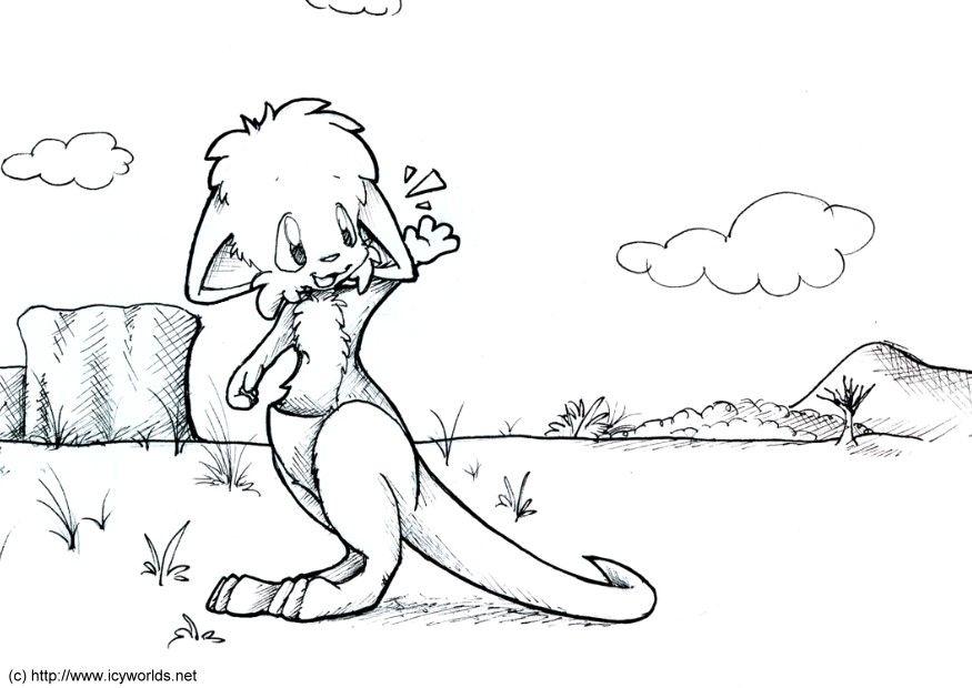 Dibujo para colorear canguro