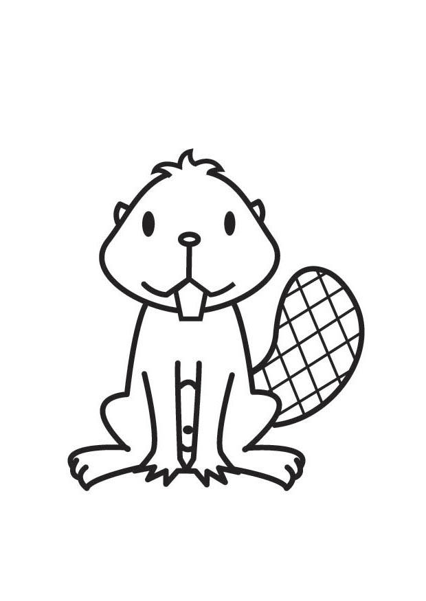 Dibujo para colorear castor