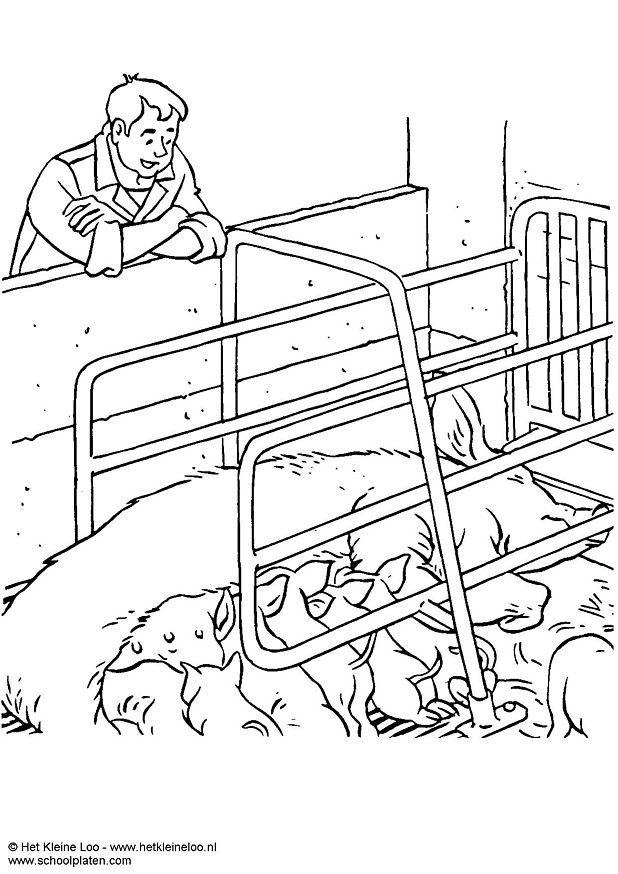 Dibujo para colorear cerda con cochinillos