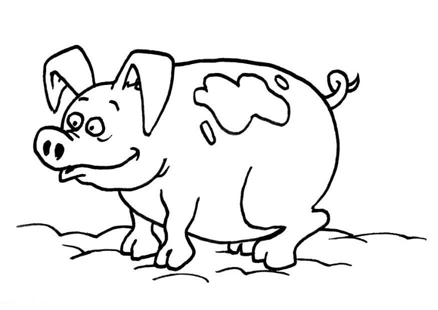 Dibujo para colorear cerdos