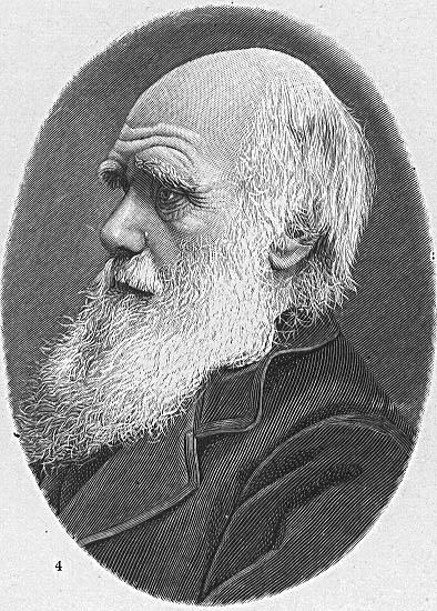 Dibujo para colorear charles darwin
