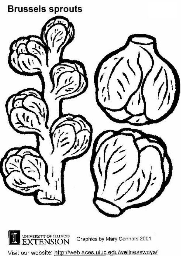 Dibujo para colorear coles de bruselas