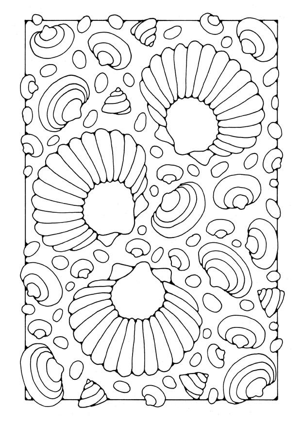 Dibujo para colorear conchas