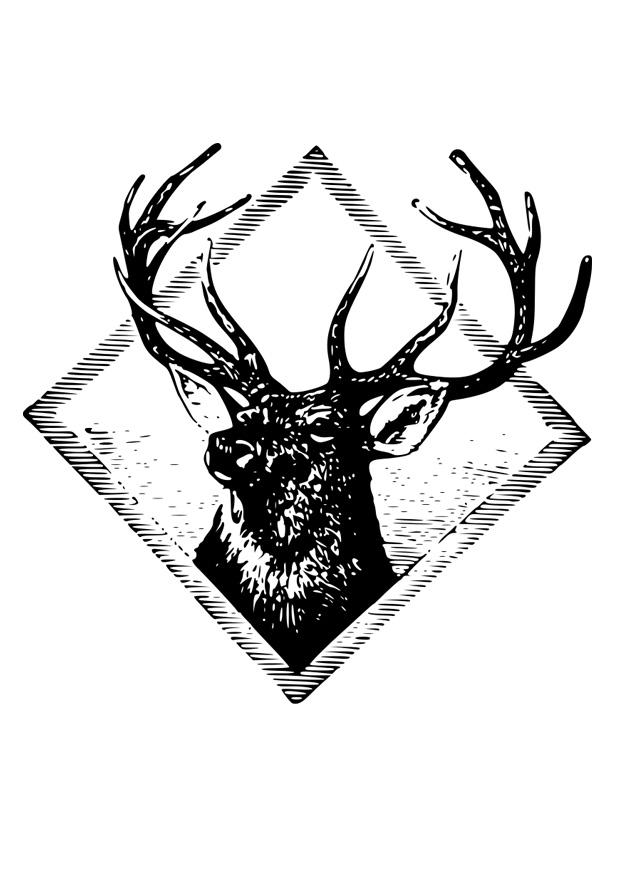 Dibujo para colorear cornamenta de ciervo