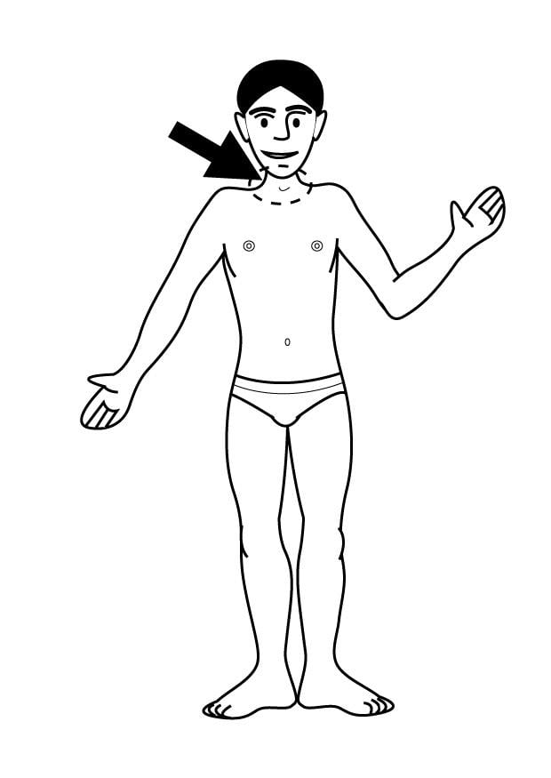 Dibujo para colorear cuello