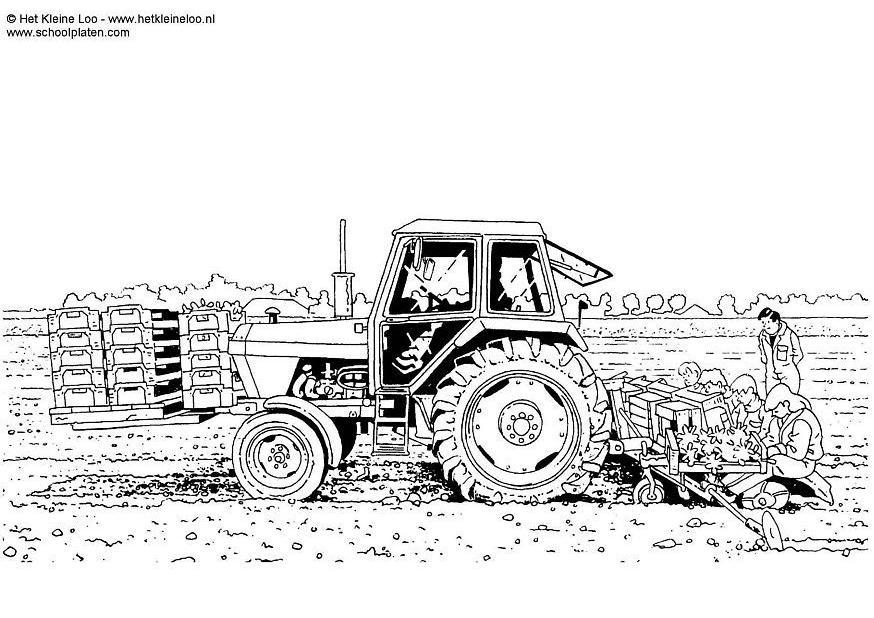 Dibujo para colorear cultivo