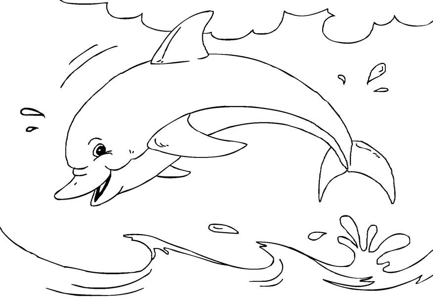 Dibujo para colorear delfA­n 