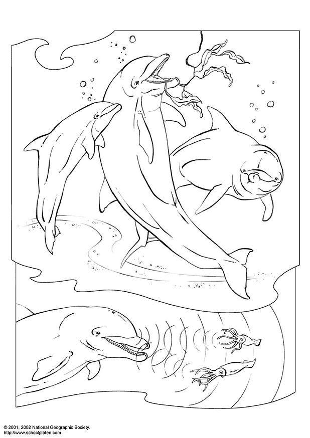 Dibujo para colorear delfA­n