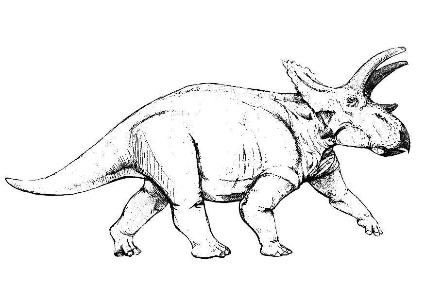 Dibujo para colorear dinosaurio anchiceratops
