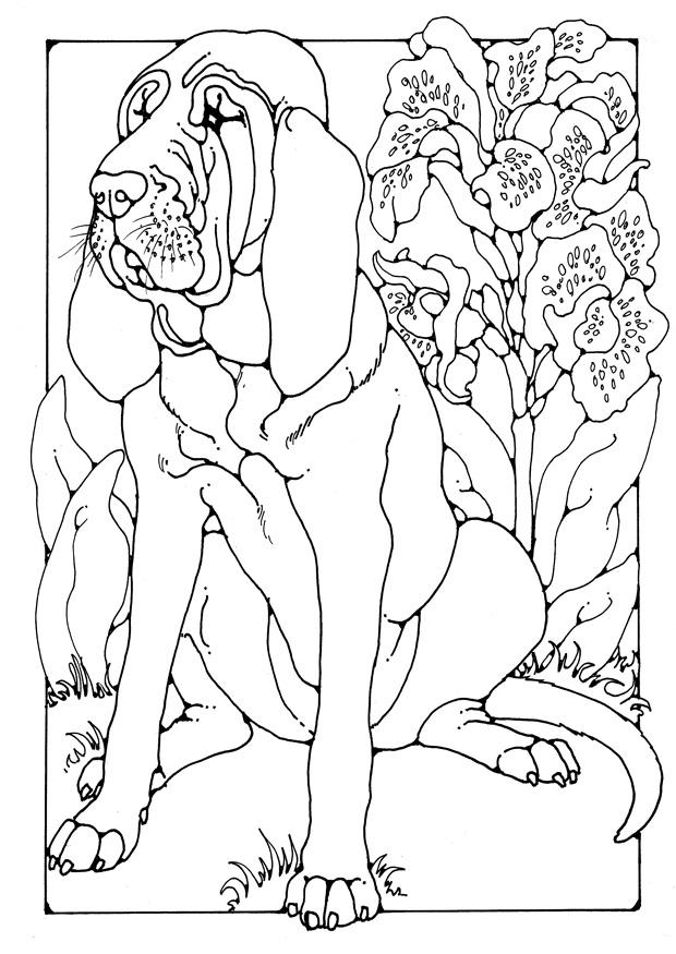 Dibujo para colorear dogo
