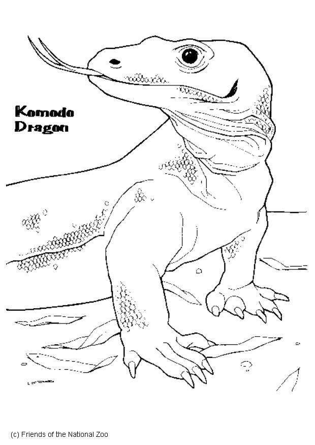 Dibujo para colorear dragA³n de komodo