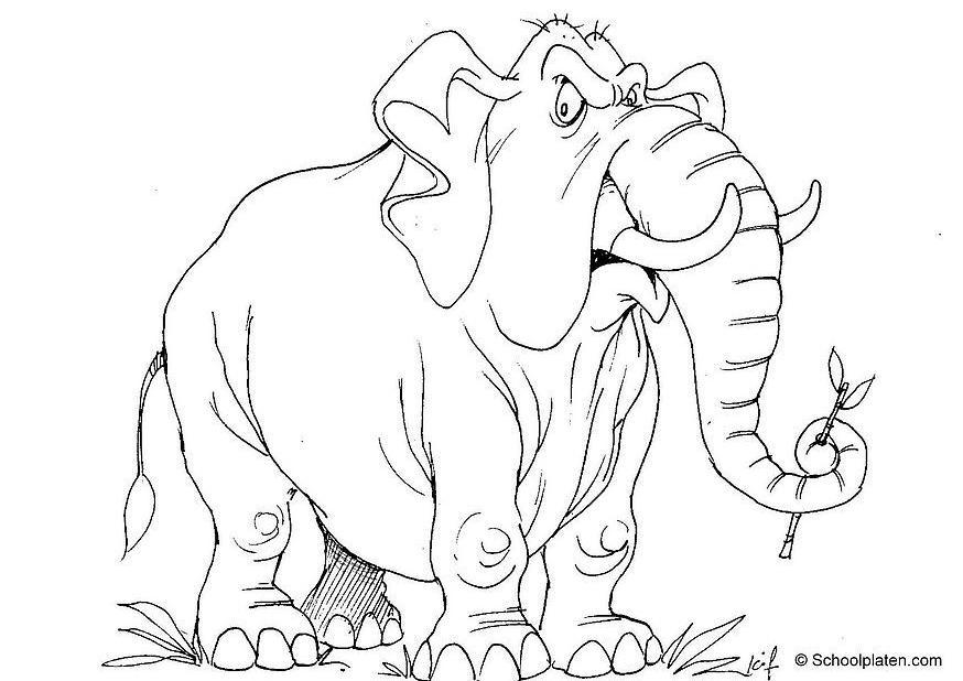 Dibujo para colorear elefante