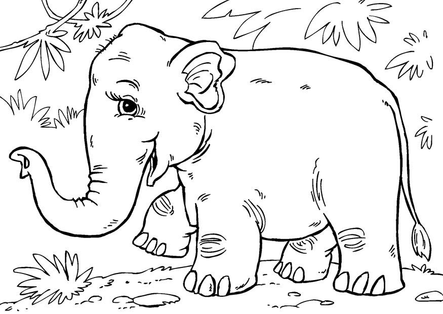 Dibujo para colorear elefante asiA¡tico