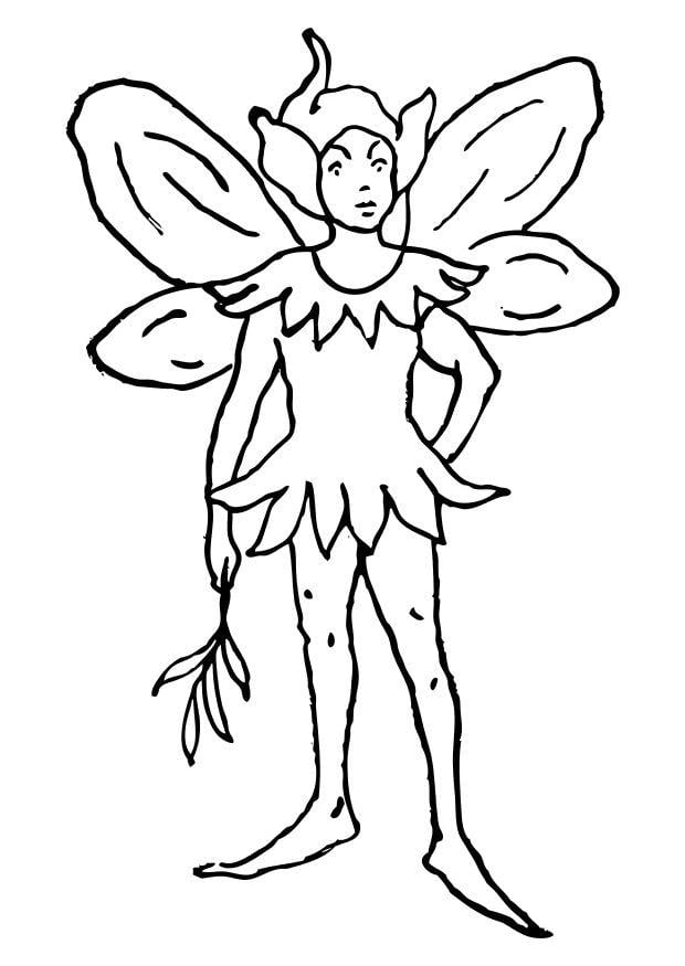 Dibujo para colorear elfo