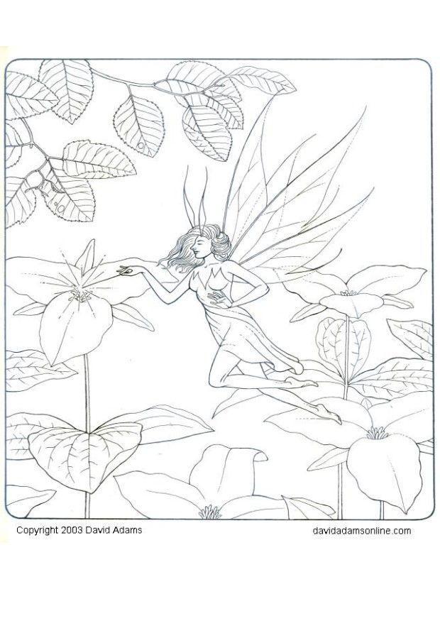 Dibujo para colorear elfo