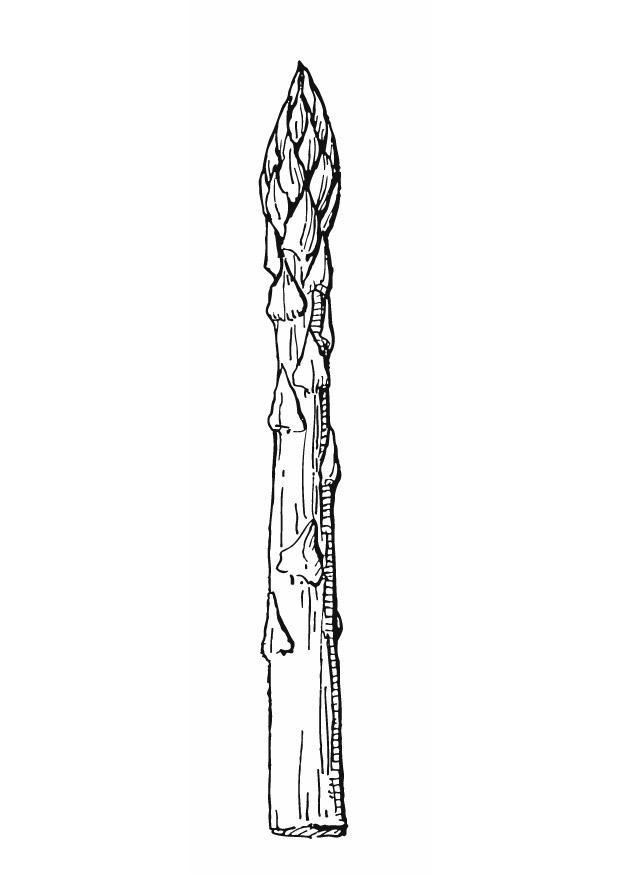 Dibujo para colorear esparrago
