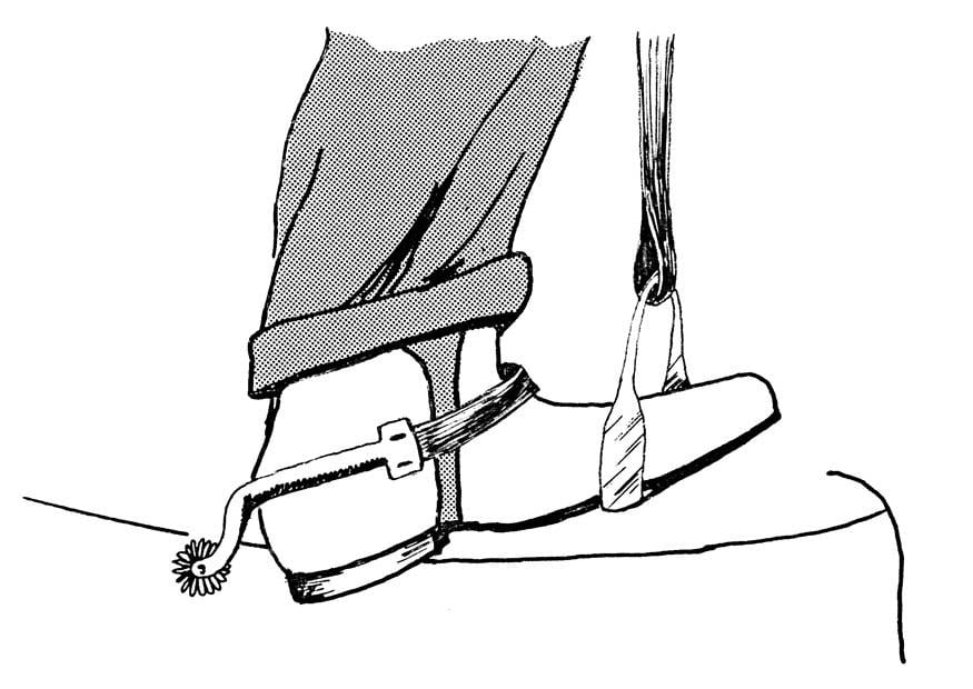 Dibujo para colorear espuelas