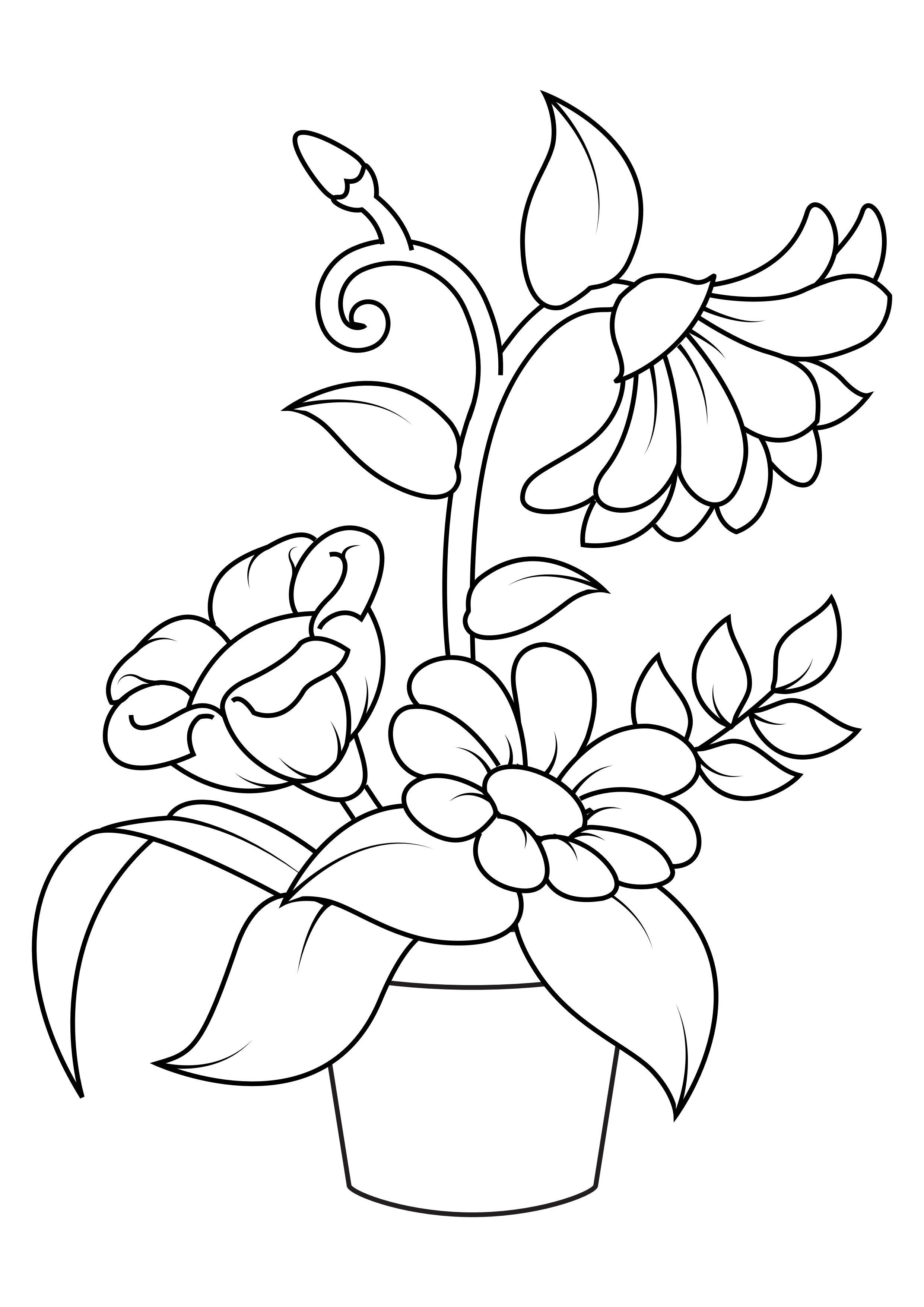 Dibujo para colorear flores