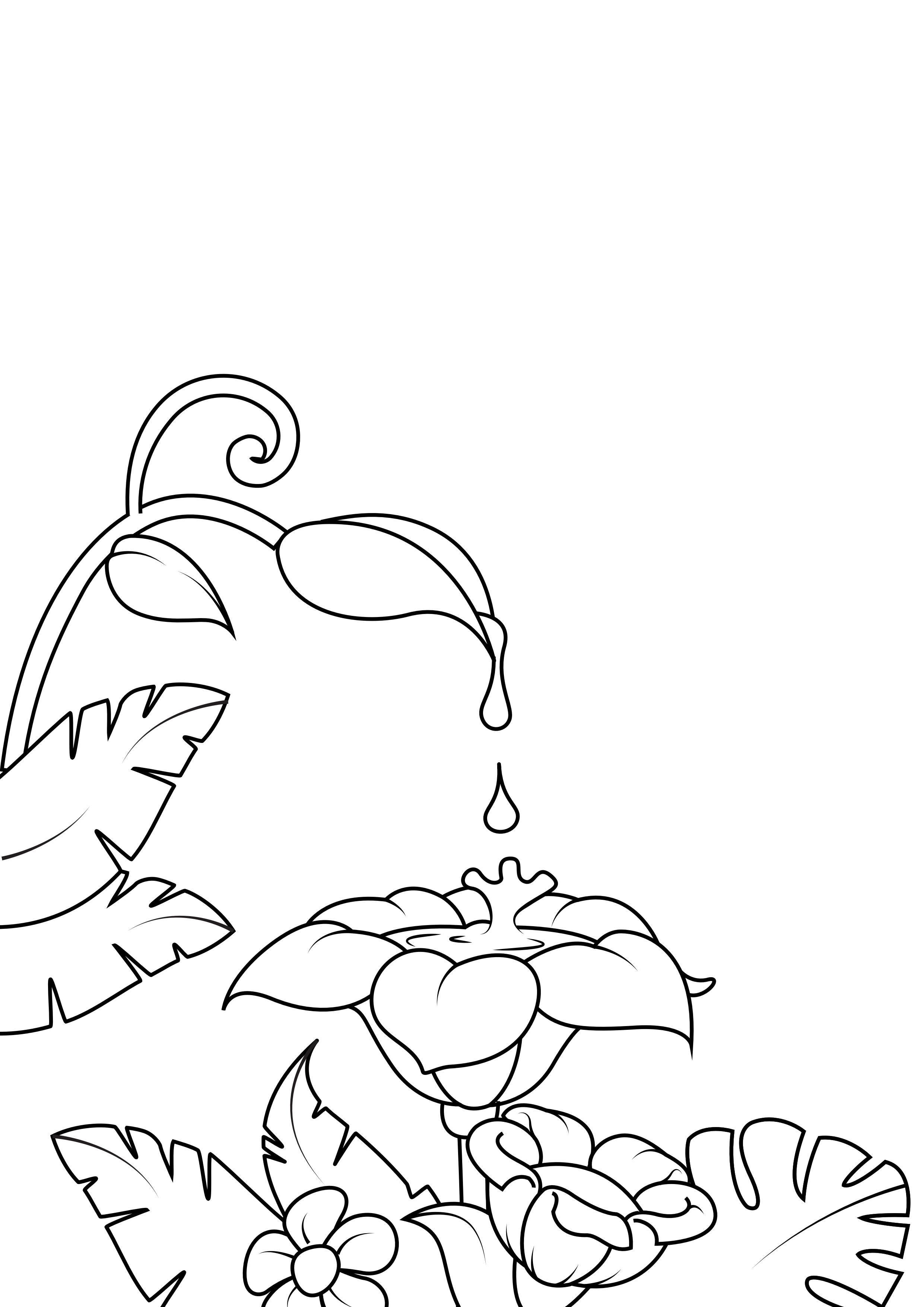 Dibujo para colorear flores con agua
