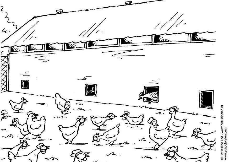 Dibujo para colorear gallinero