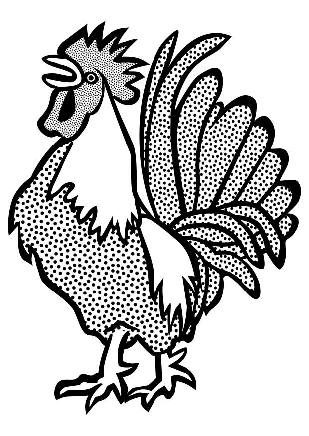 Dibujo para colorear gallo