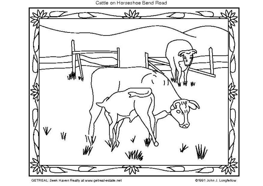 Dibujo para colorear ganado americano