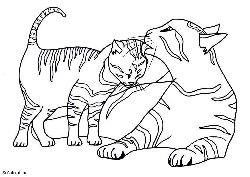 Dibujo para colorear gatitos