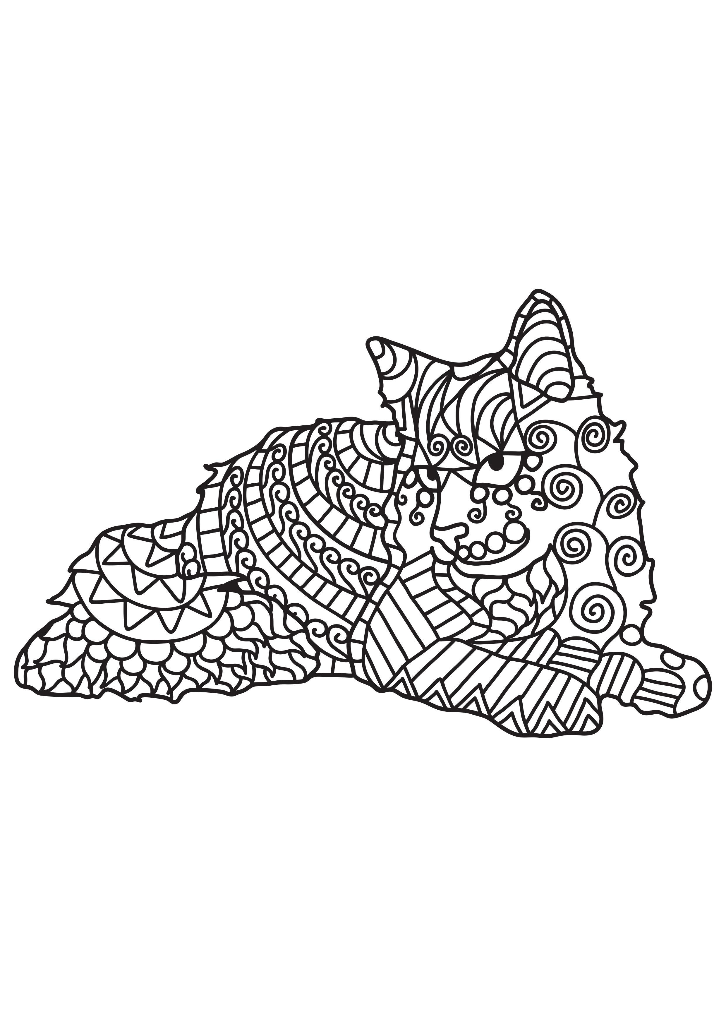 Dibujo para colorear gato estA¡ descansando