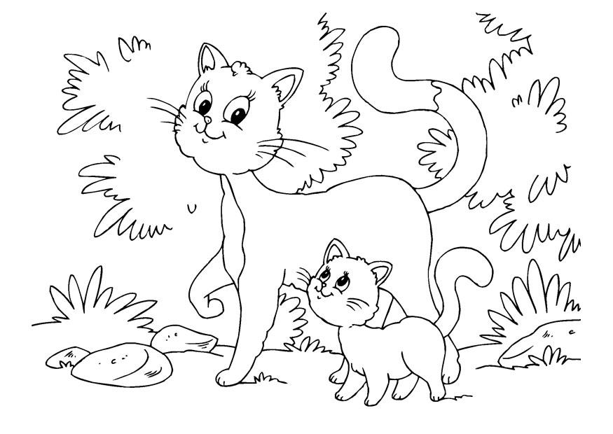 Dibujo para colorear gato y gatito