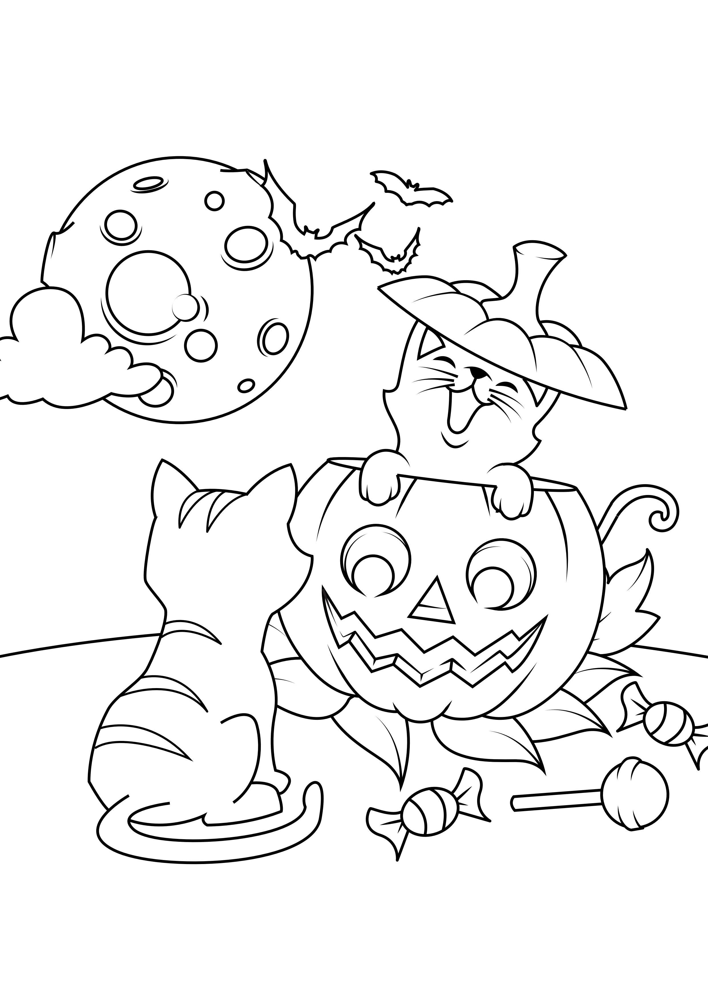 Dibujo para colorear gatos con calabaza