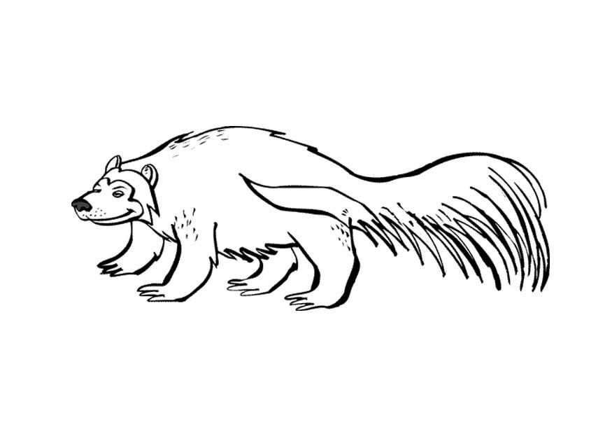 Dibujo para colorear glotA³n