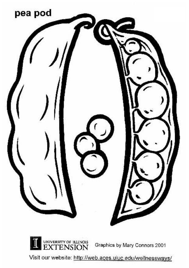 Dibujo para colorear guisantes