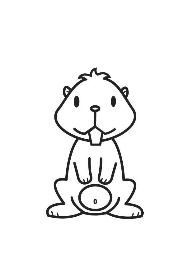 Dibujo para colorear hamster