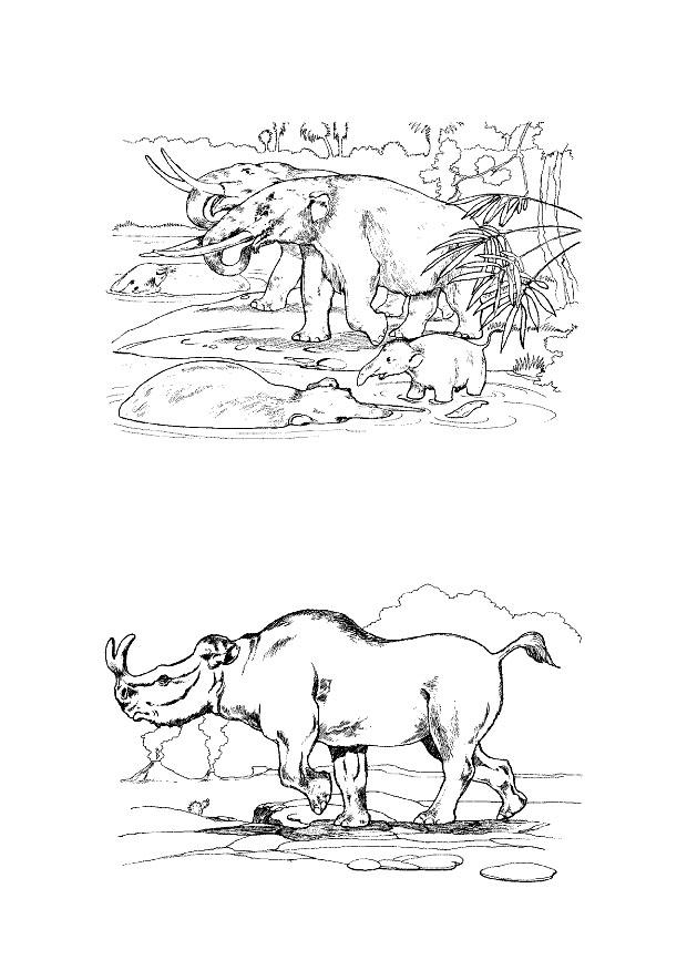 Dibujo para colorear hervA­boros