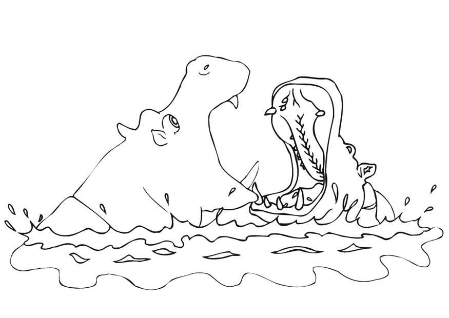 Dibujo para colorear hipopA³tamo