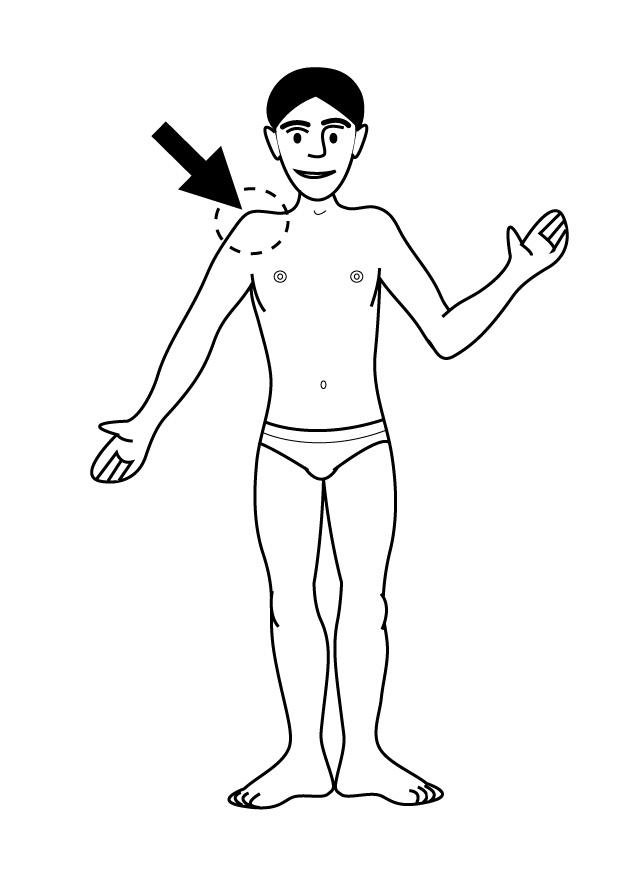 Dibujo para colorear hombro