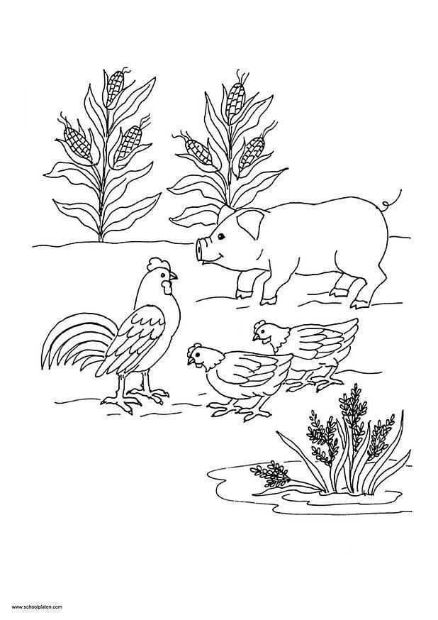 Dibujo para colorear imagen 10