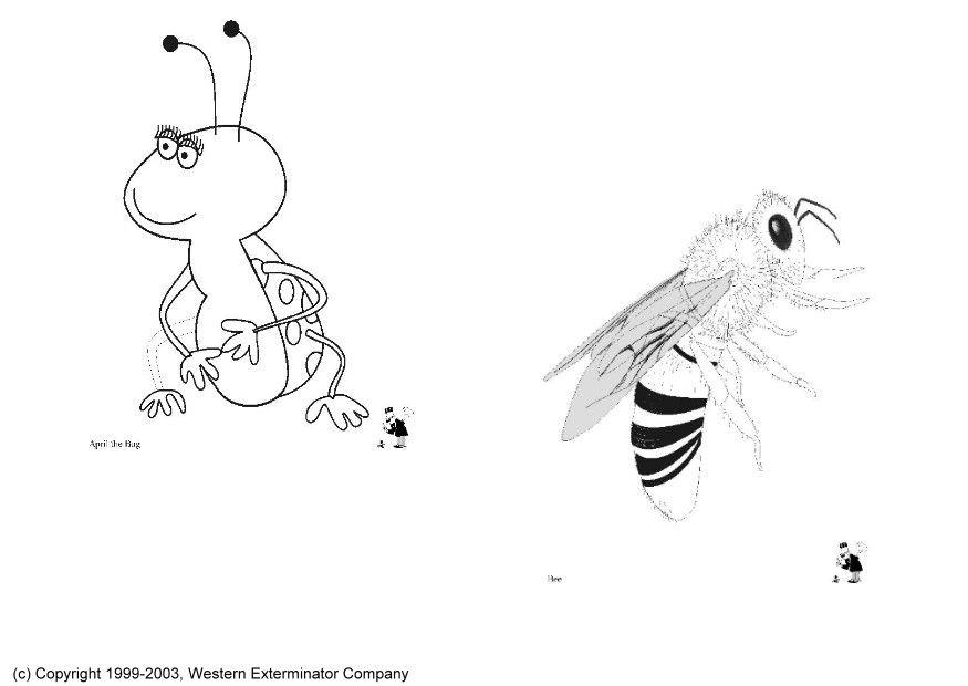 Dibujo para colorear insectos