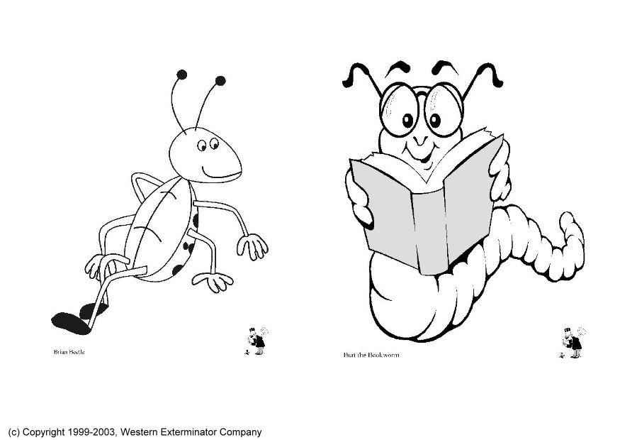 Dibujo para colorear insectos