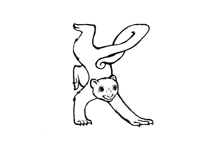 Dibujo para colorear k-kinkajou