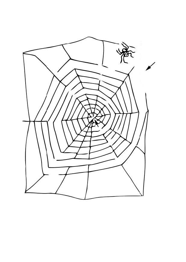 Dibujo para colorear laberinto de arana