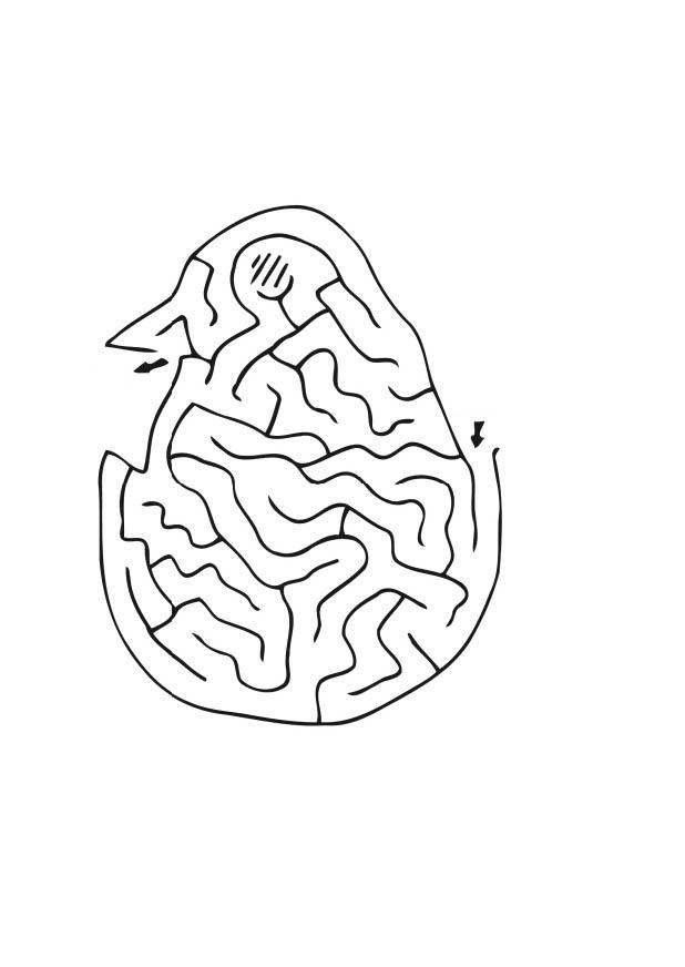Dibujo para colorear laberinto de polluelo
