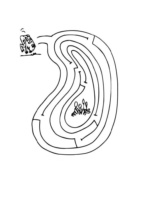 Dibujo para colorear laberinto rana