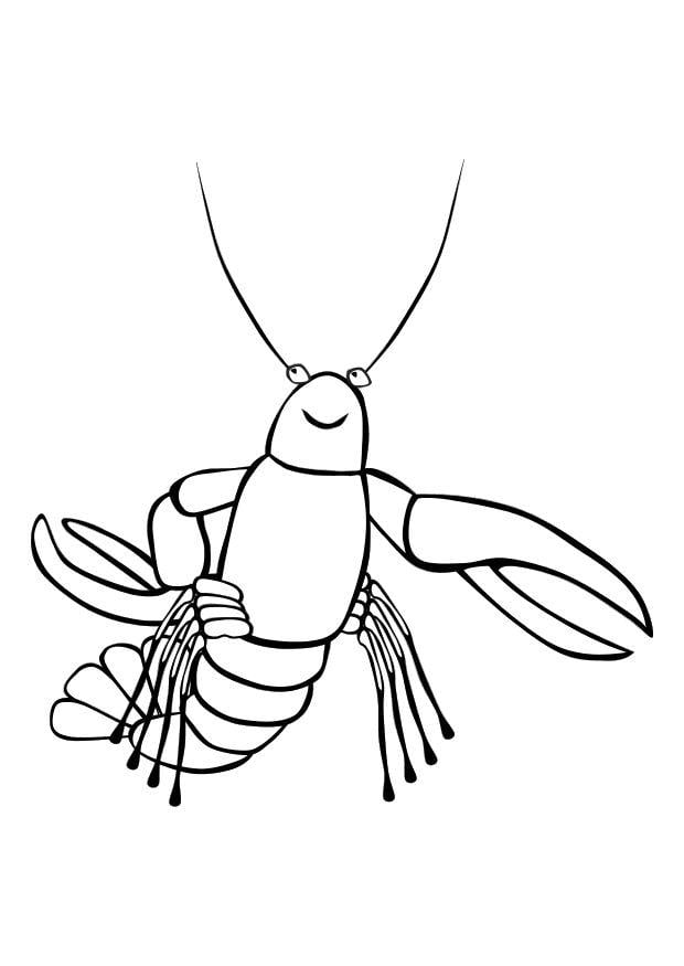 Dibujo para colorear langosta