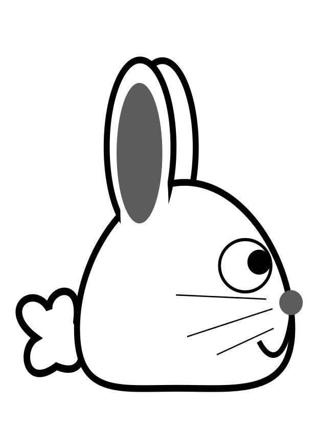 Dibujo para colorear lateral de conejo
