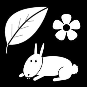 Dibujo para colorear lecciA³n de naturaleza