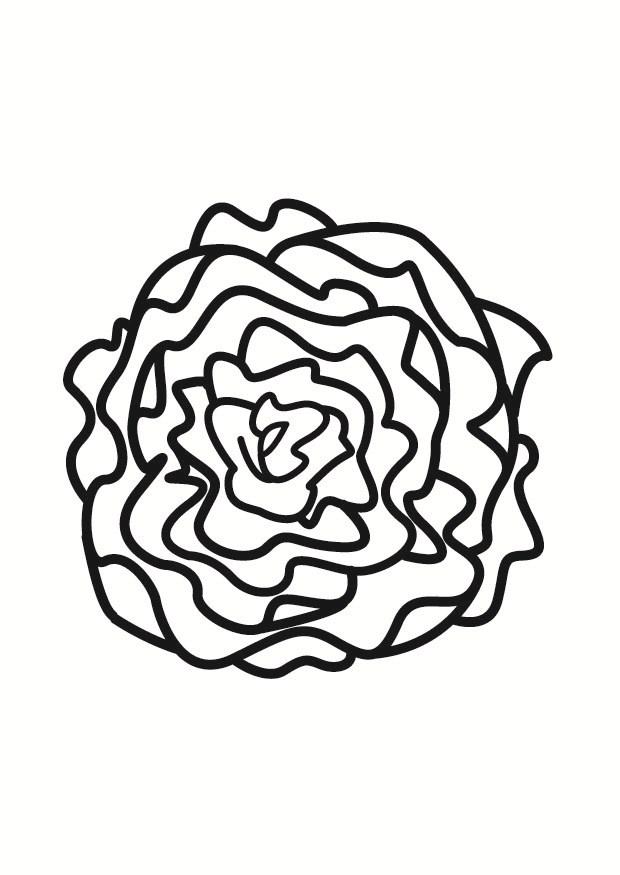 Dibujo para colorear lechuga