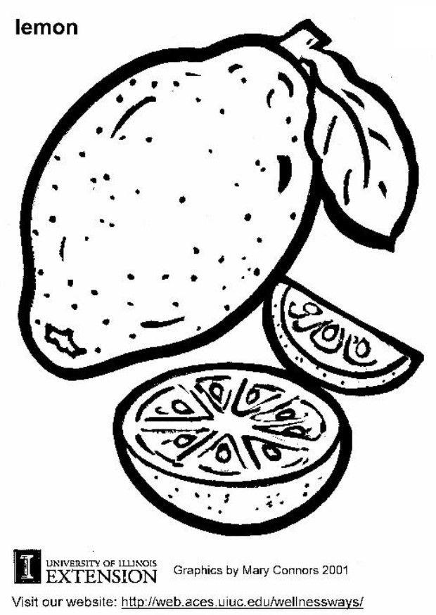 Dibujo para colorear limA³n