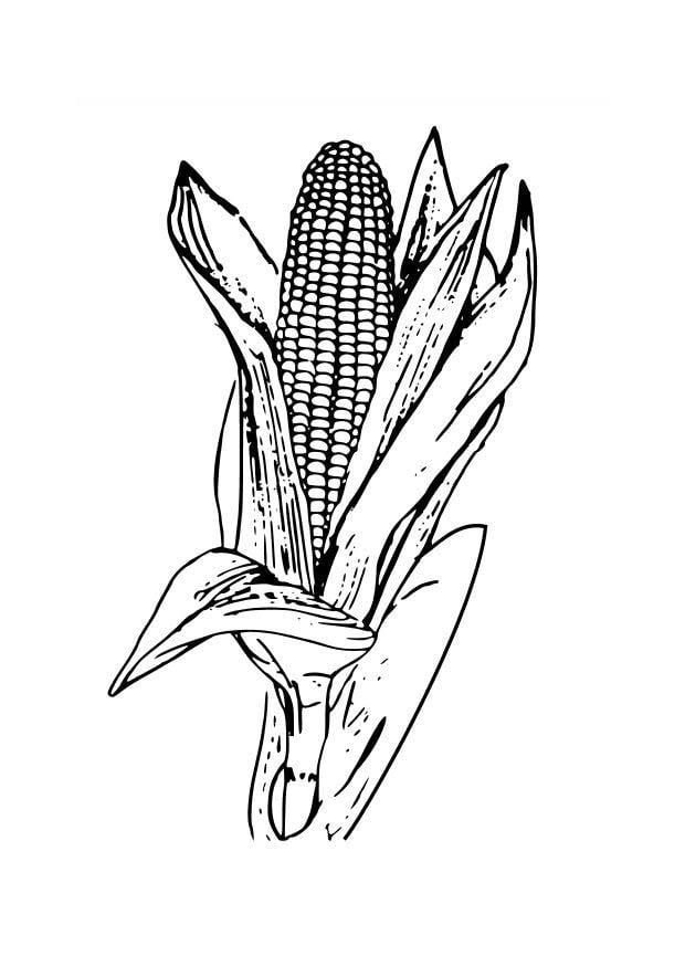 Dibujo para colorear maA­z