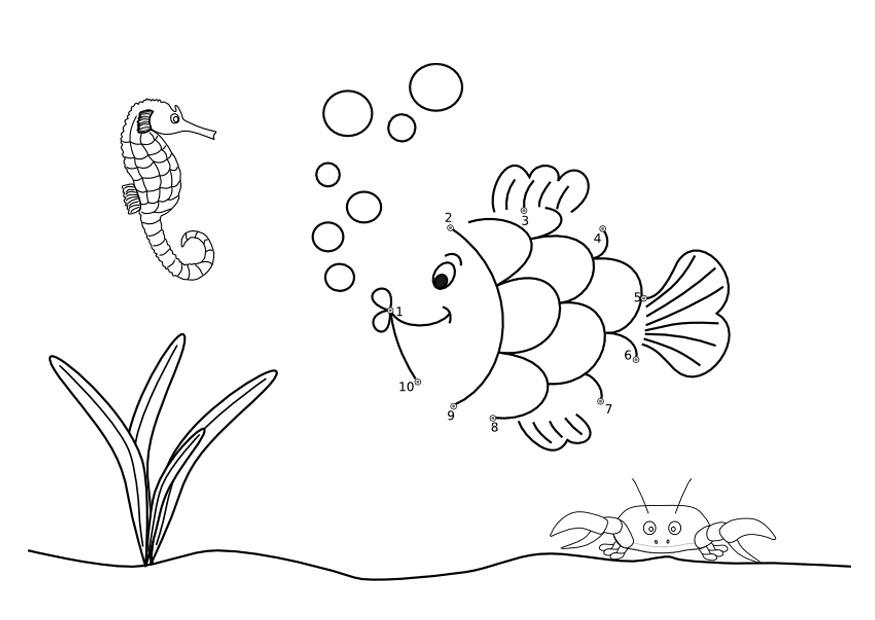Dibujo para colorear mar